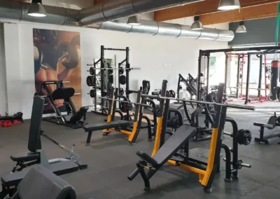 Zone de musculation guidée équipée de machines et d'appareils permettant un entraînement complet chez Fitaccess